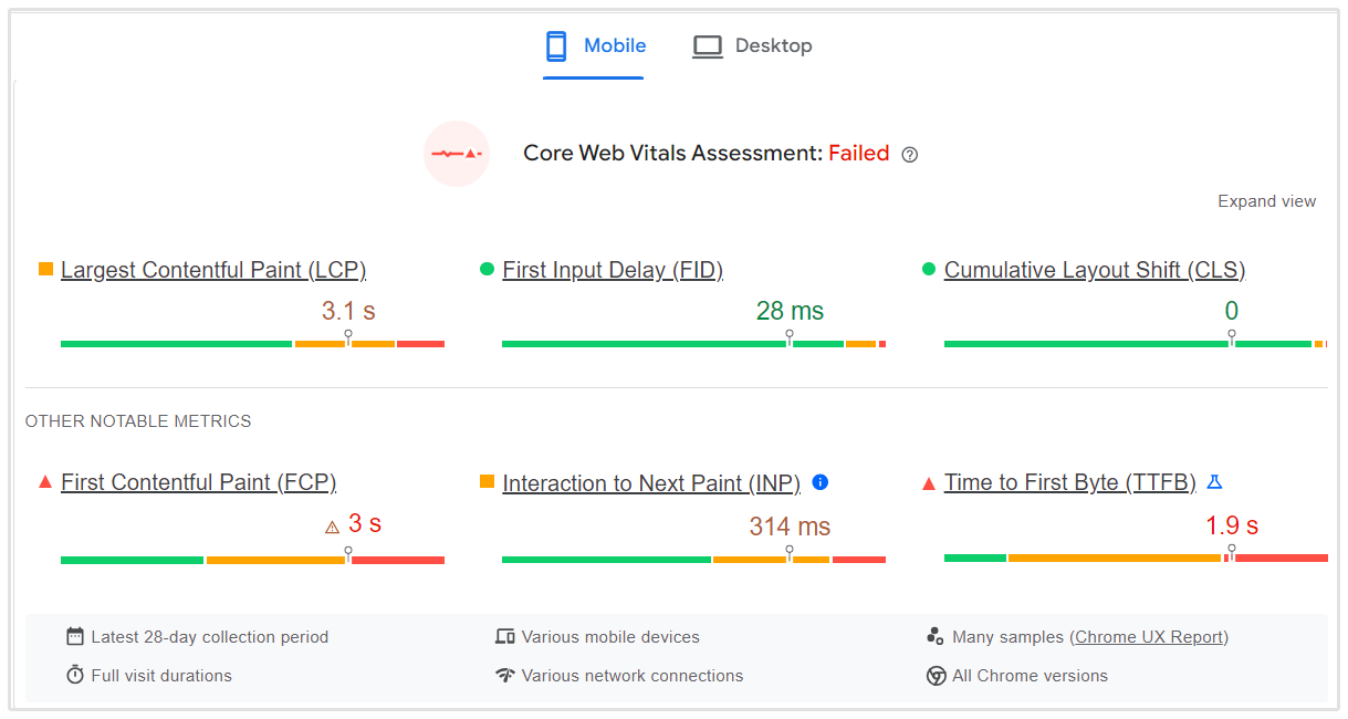 Przykład Google Page Speed Insights